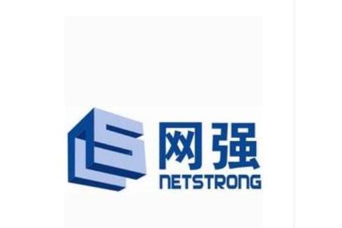 网强信息技术 网络信息技术开发的深耕者与创新者