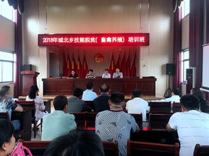 六安职业技术学院为城北乡农民开展网络信息技术开发技能培训活动